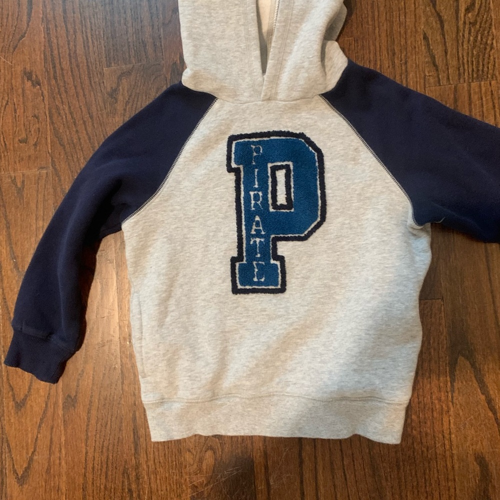 Gymboree hooded fleece